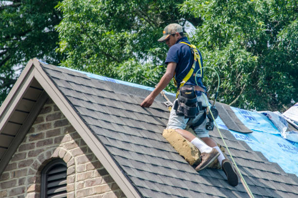 Best Gutter Installation and Roofing  in Fleetwood, PA